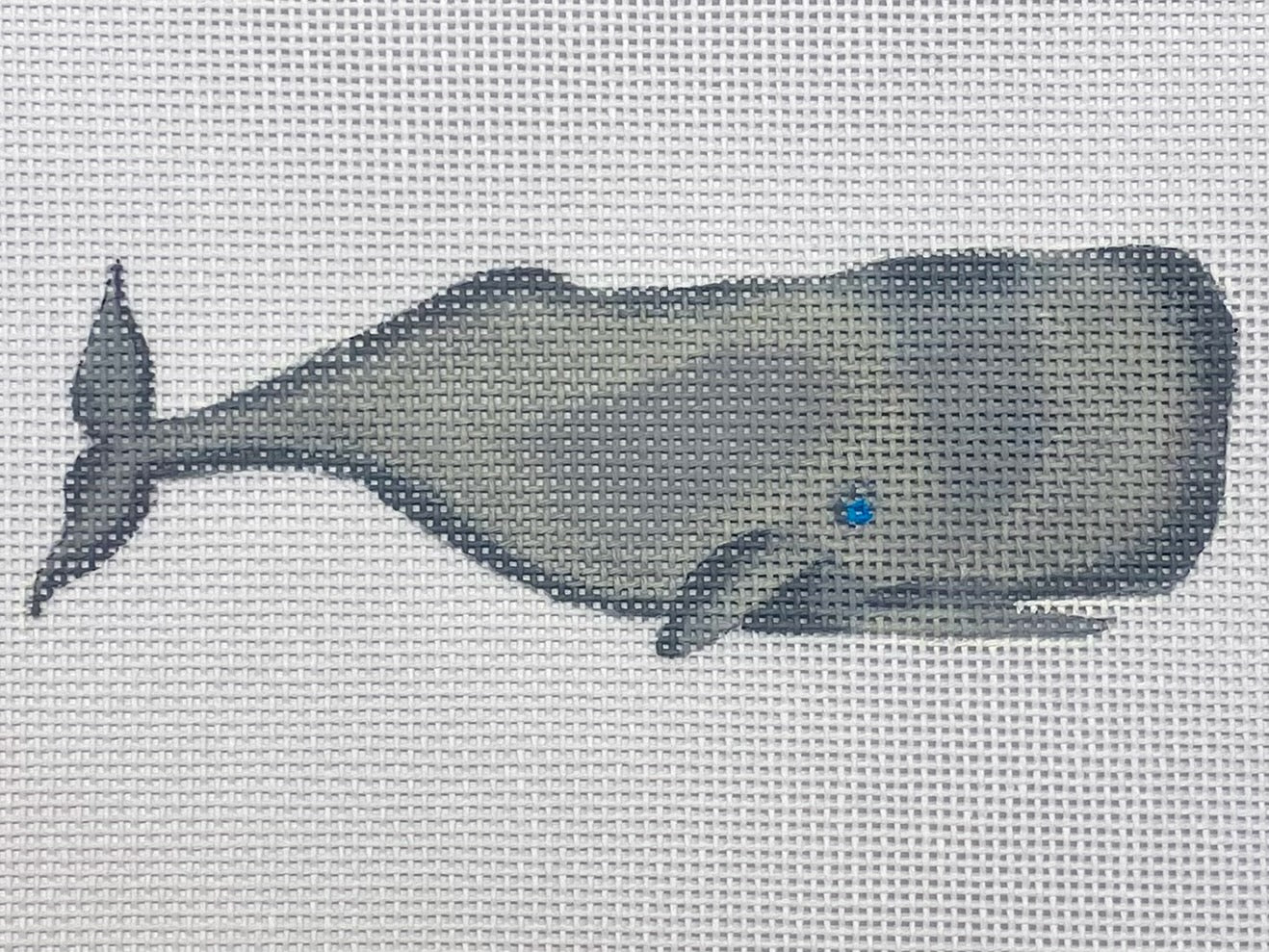 Sara Fitz:SF21 Whale