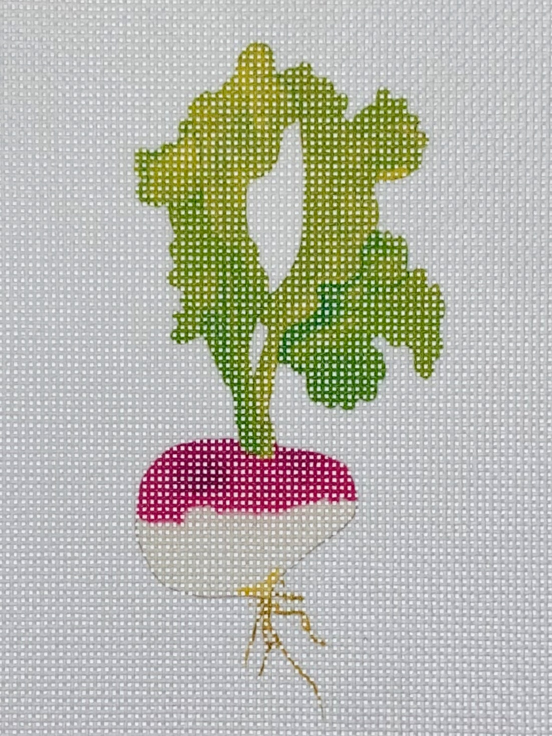 Sara Fitz:SF55 Turnip 5x5 18M