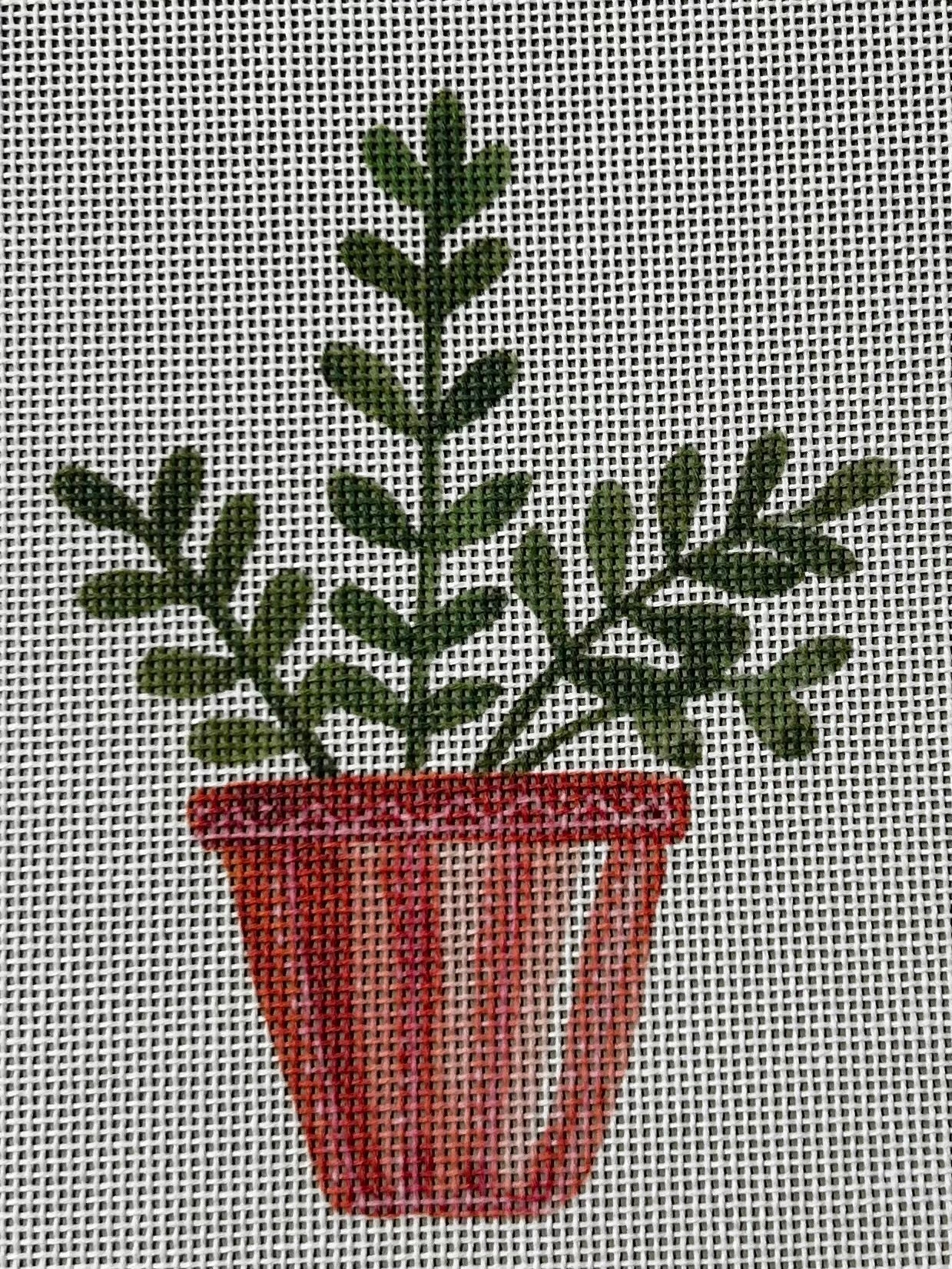 Ellen Crimi-Trent:ECT479G Cactus short pot