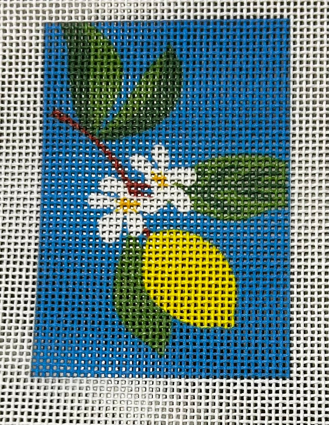 R. Nichols:RN314 Lemons 2x3 18M