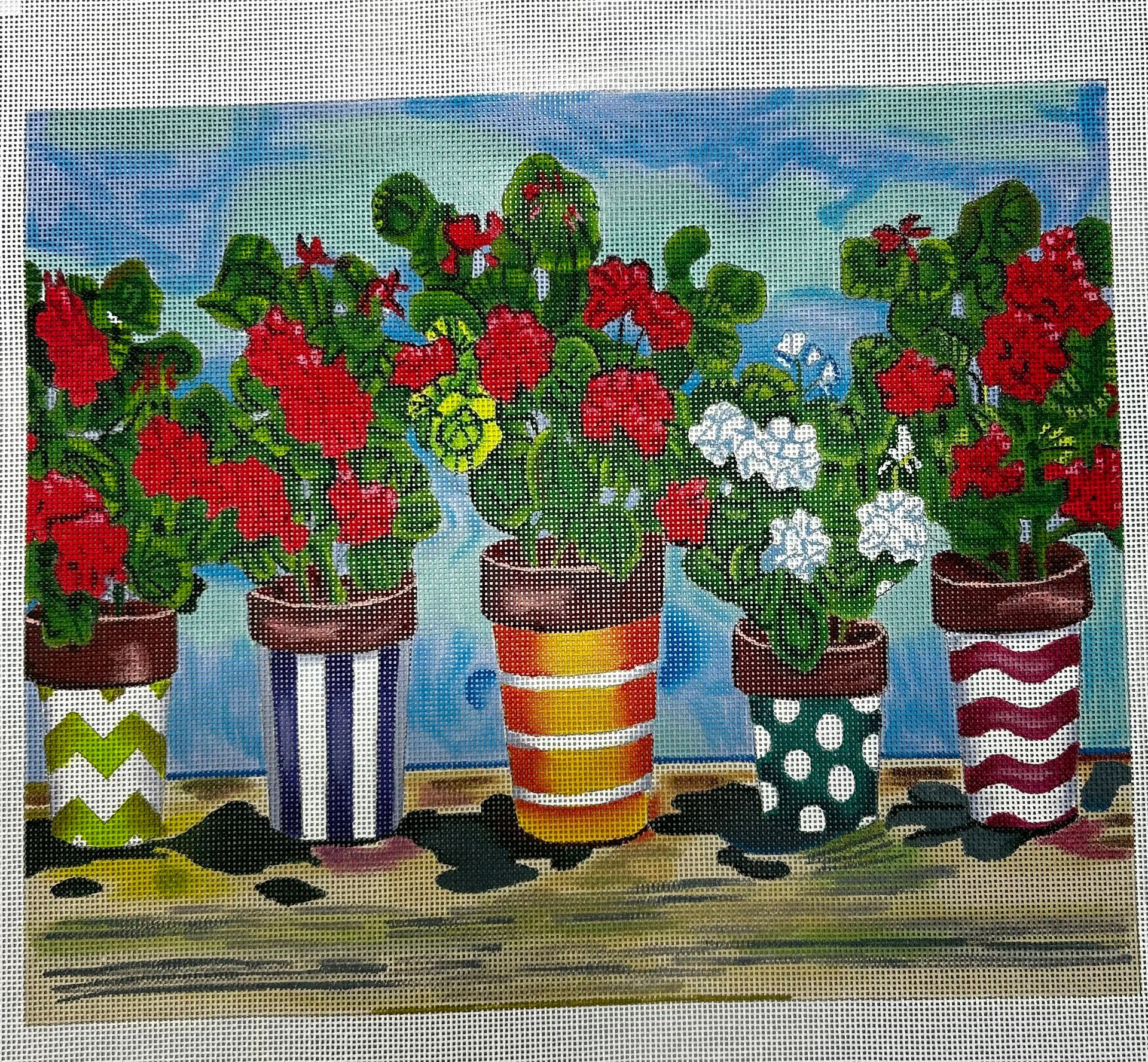 Paul Brent:PB14091 Fancy Pots Geraniums 10