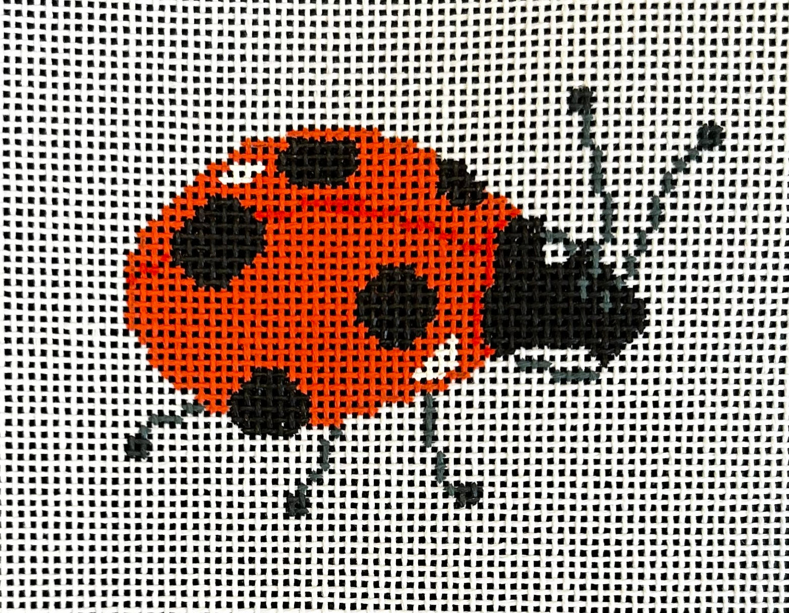 Sara Fitz:SF128 Lady Bug Single 2x2 18M