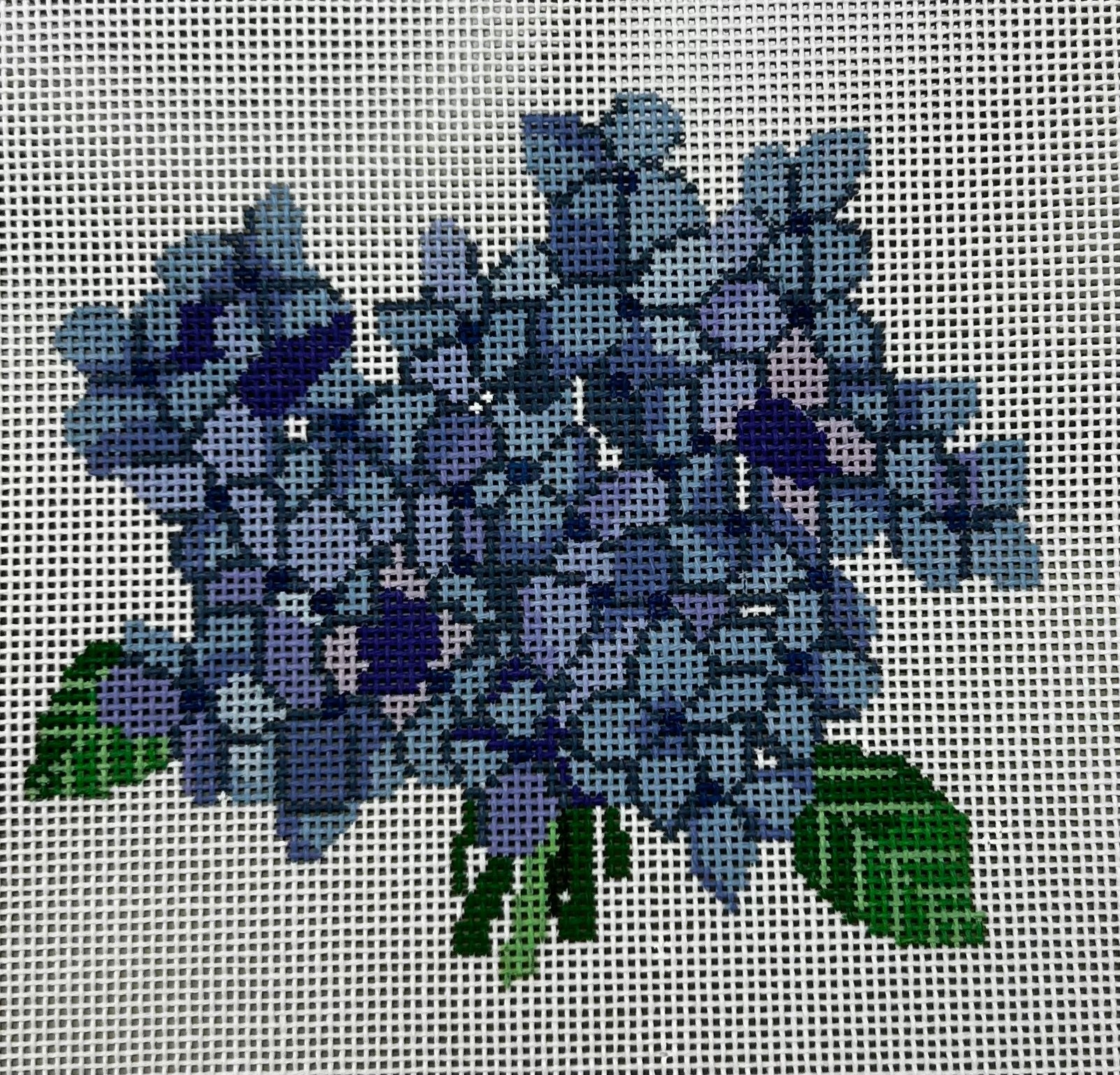 Sara Fitz:SF16 Hydrangea Bloom 18M