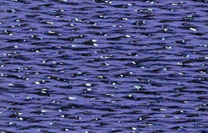 People:L110 Traveling