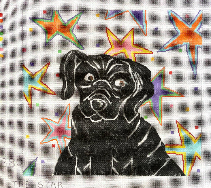 Penny Macleod:PM880 The Star 9x9 1/2, 18M